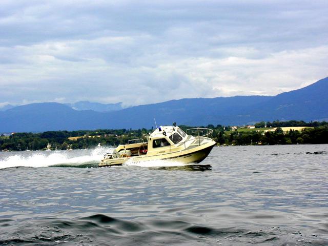 P7160445.jpg